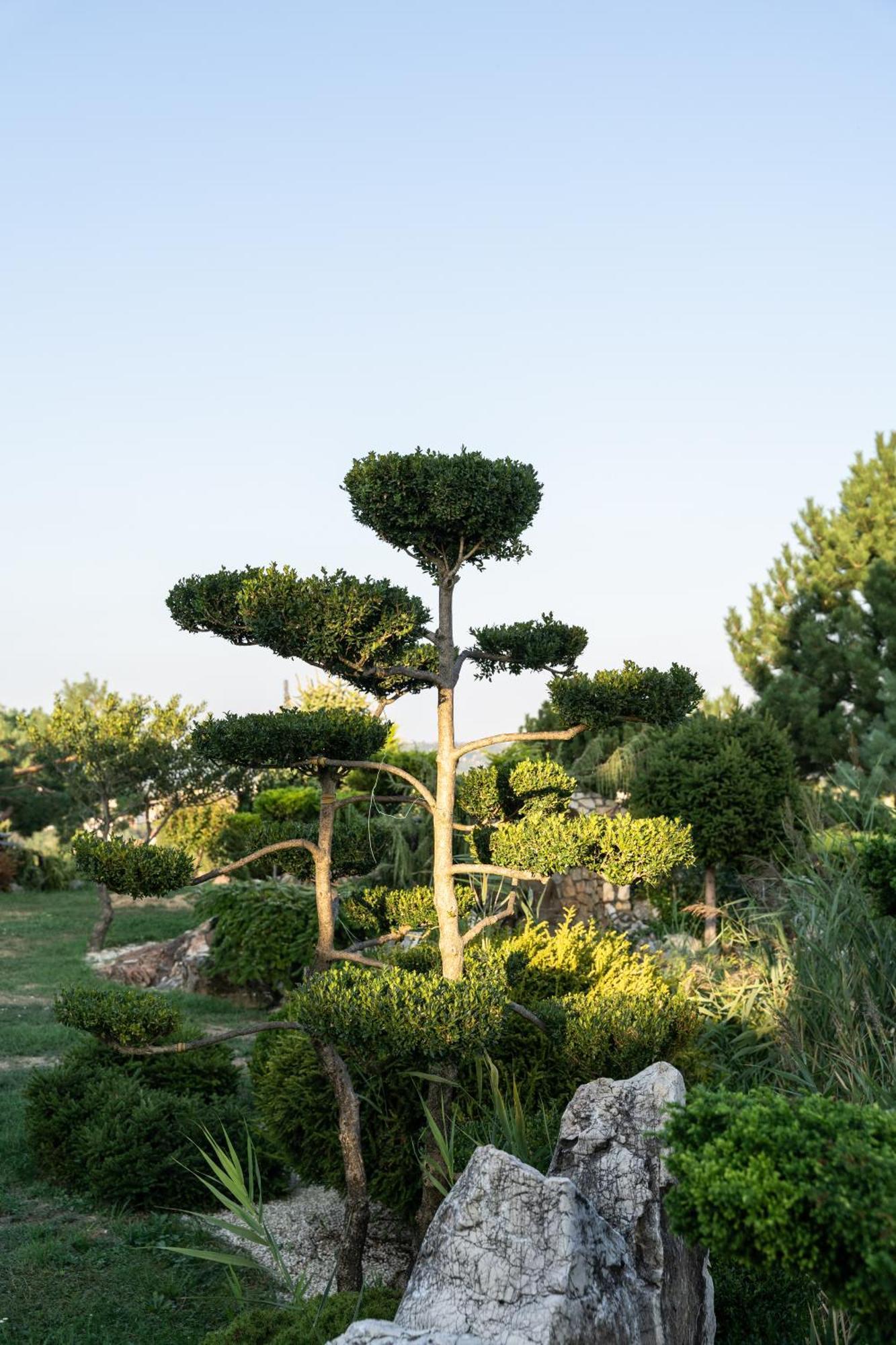Villa Garden ザラエゲルセグ エクステリア 写真